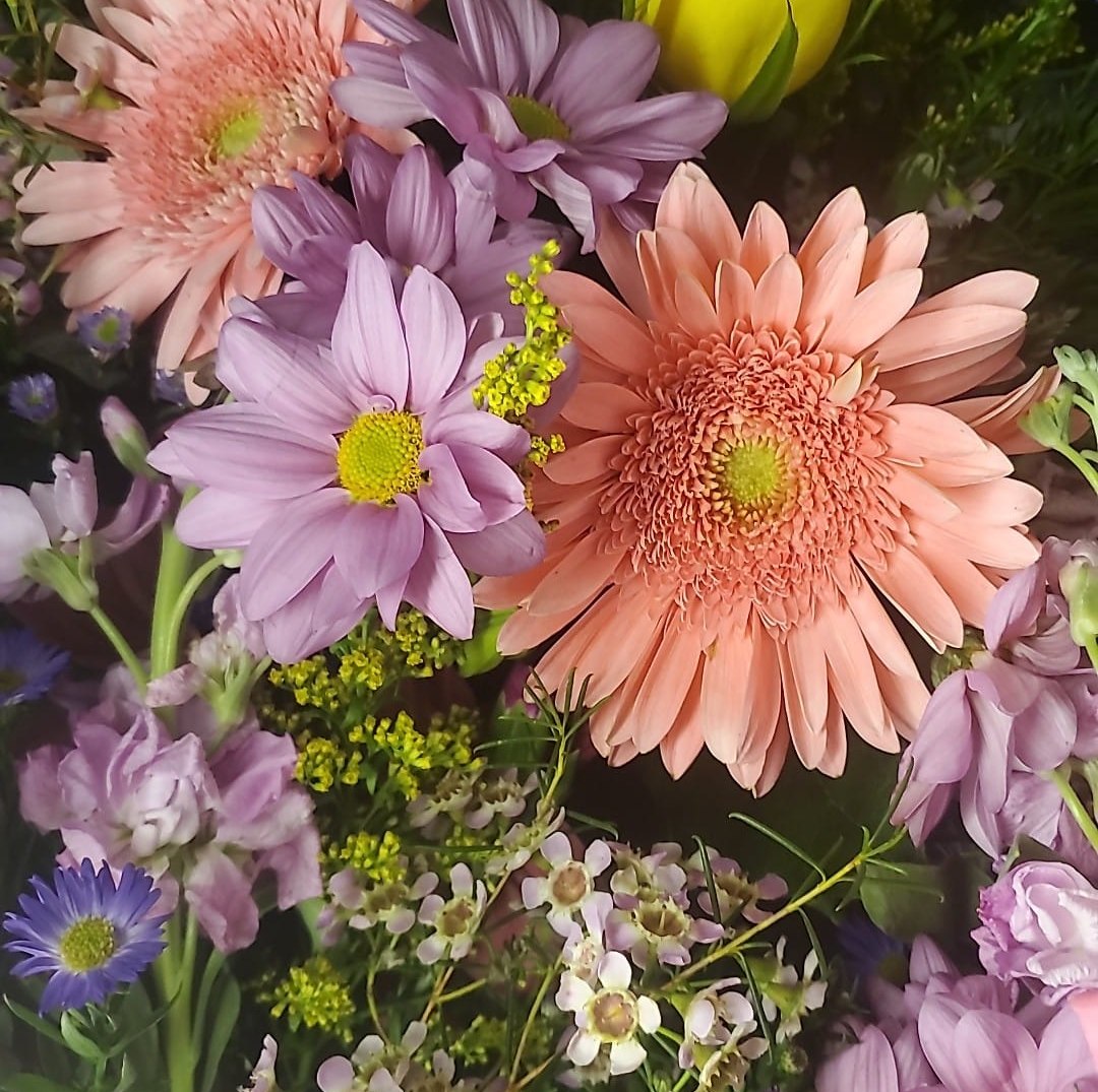 Two Friends Flowers logo