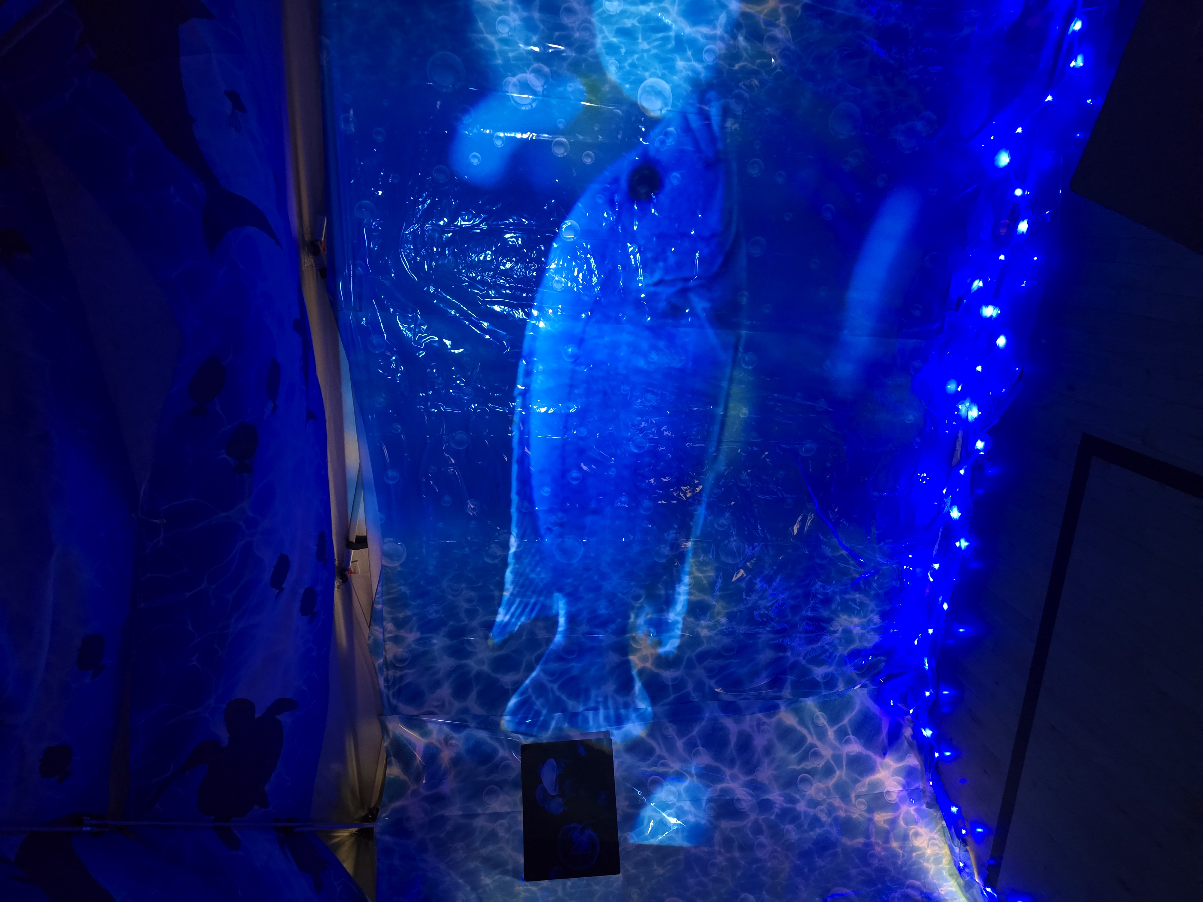 Glowing blue aquarium display inside the cave